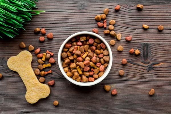 تصویر 4 از خرید و قیمت خوراک جونیور نژاد بزرگ + فروش عمده