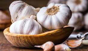تصویر 5 از قیمت خرید سیر سفید همدان + فروش ویژه
