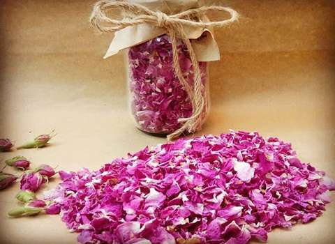 تصویر 4 از قیمت خرید غنچه گل محمدی + فروش ویژه