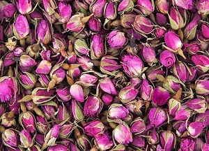 تصویر 4 از قیمت خرید پر گل تازه با فروش عمده