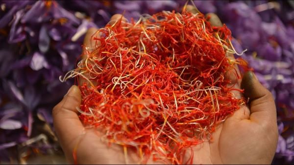 تصویر 3 از خرید زعفران پوشال قلمدار + قیمت فروش استثنایی