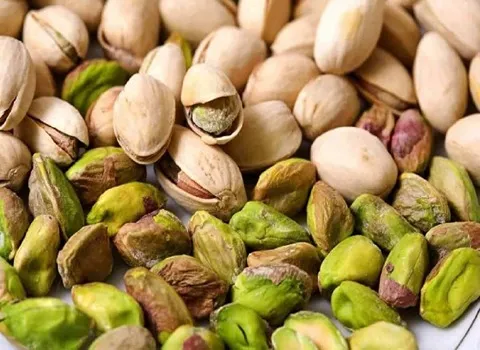 تصویر 3 از خرید و فروش پسته کله قوچی رفسنجان با شرایط فوق العاده