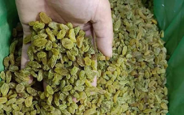 تصویر 3 از قیمت خرید کشمش سبز قلمی ممتاز + فروش ویژه