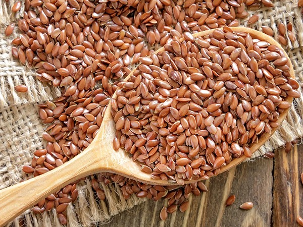 تصویر 2 از قیمت خرید تخم کتان برای مو + فروش عمده