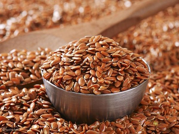 تصویر 4 از قیمت خرید تخم کتان برای مو + فروش عمده