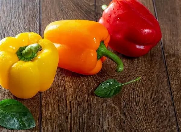 تصویر 3 از قیمت خرید فلفل دلمه رنگی با فروش عمده