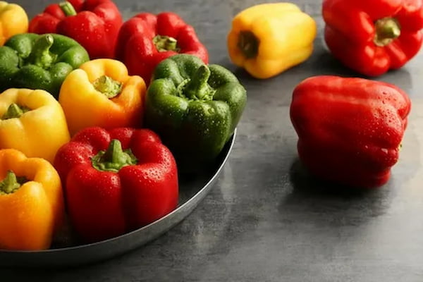 تصویر 4 از قیمت خرید فلفل دلمه رنگی با فروش عمده