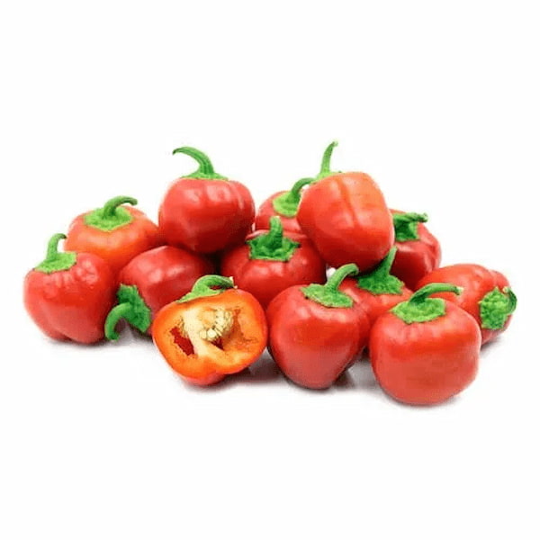 تصویر 3 از قیمت فلفل دلمه شیرین با کیفیت ارزان + خرید عمده