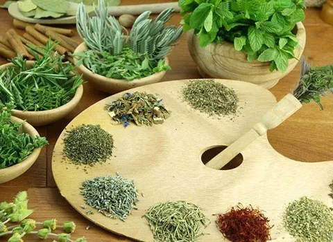 تصویر 1 از قیمت خرید سبزی تره خشک + فروش ویژه