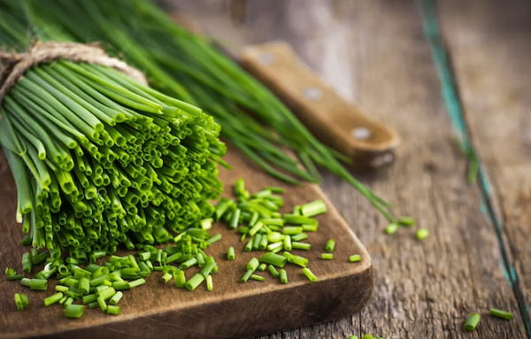 قیمت خرید سبزی تره خشک + فروش ویژه