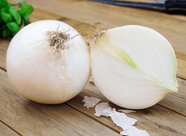 تصویر 3 از قیمت پیاز زنبق سفید + خرید باور نکردنی
