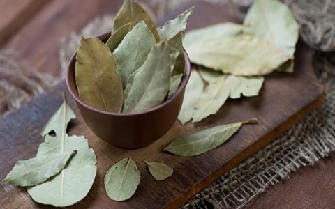 تصویر 1 از قیمت برگ بو خشک شده با کیفیت ارزان + خرید عمده