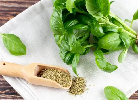 تصویر 1 از فروش سبزی ریحان خشک + قیمت خرید به صرفه
