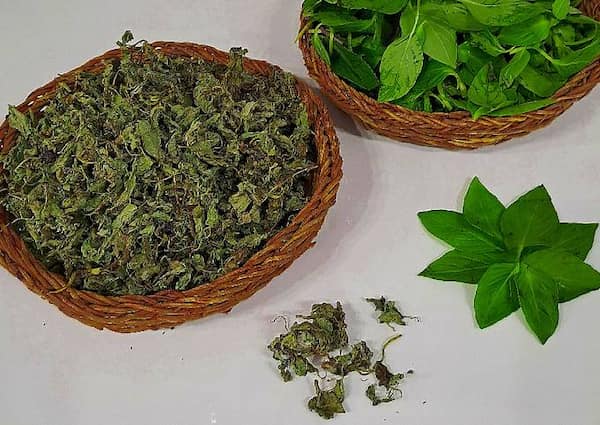 تصویر 3 از فروش سبزی ریحان خشک + قیمت خرید به صرفه