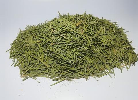 تصویر 4 از خرید سبزی خشک رزماری + قیمت فروش استثنایی