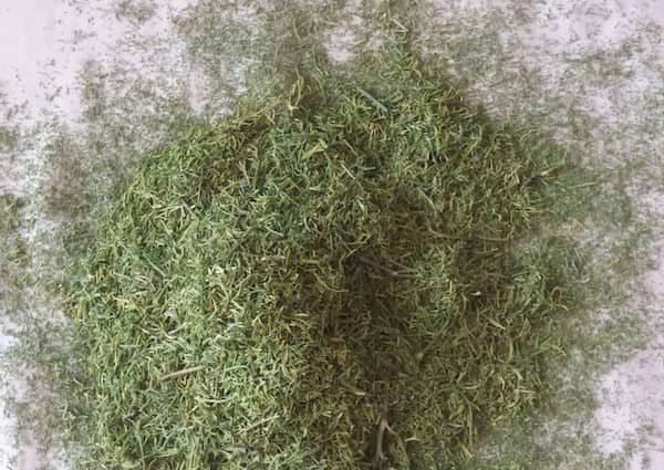 تصویر 5 از خرید سبزی شوید خشک شده + قیمت فروش استثنایی