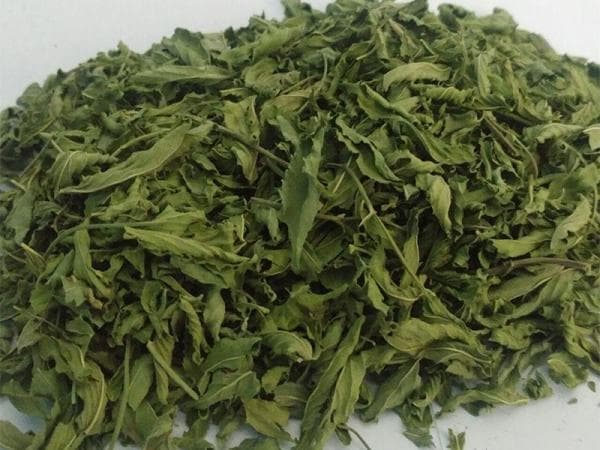 تصویر 2 از قیمت سبزی نعنا خشک با کیفیت ارزان + خرید عمده