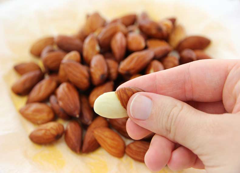 تصویر 5 از فروش بادام درختی افغانستان + قیمت خرید به صرفه
