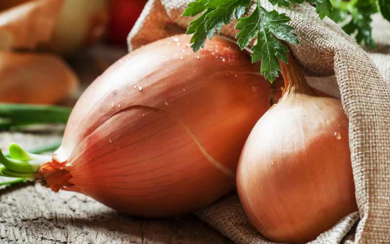 تصویر 5 از قیمت خرید پیاز زرد فلات با فروش عمده