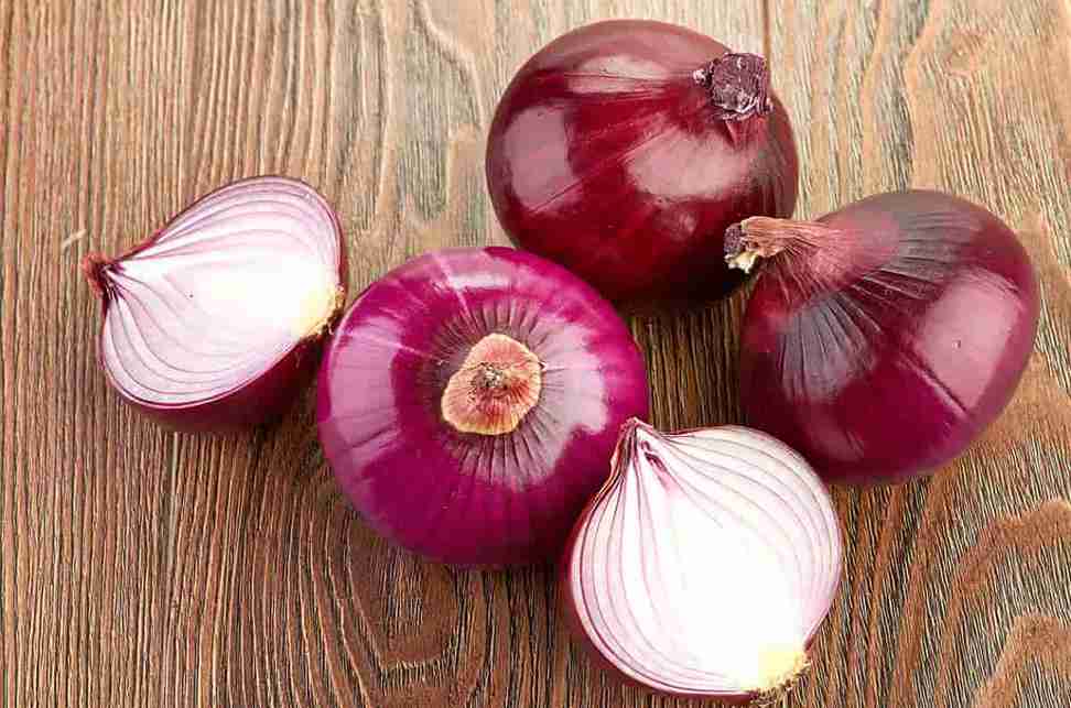 تصویر 4 از خرید پیاز قرمز عمده + قیمت فروش استثنایی