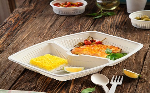 تصویر 1 از قیمت خرید ظرف گیاهی چند خانه با فروش عمده