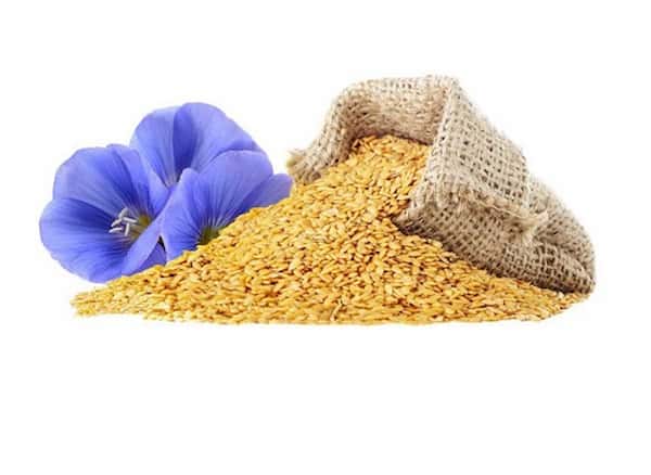 قیمت خرید تخم کتان زرد با فروش عمده