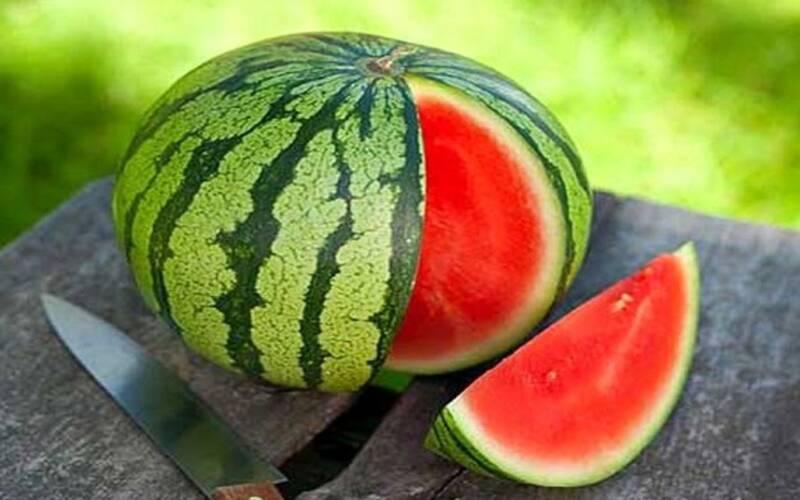 تصویر 3 از خرید و فروش هندوانه قرقی با شرایط فوق العاده