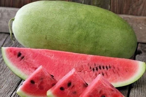 تصویر 3 از قیمت هندوانه بیضی گالاتا + خرید باور نکردنی