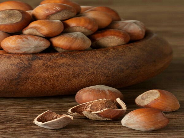 تصویر 5 از خرید مغز فندق شور + قیمت فروش استثنایی