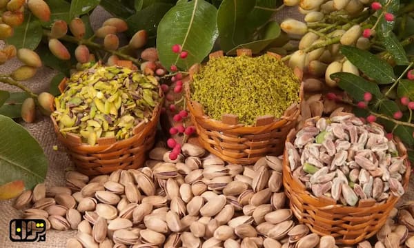 تصویر 3 از فروش پسته فندقی دستچین + قیمت خرید به صرفه