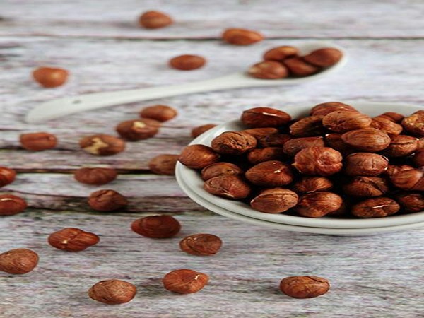 تصویر 4 از قیمت مغز فندق درجه یک + خرید باور نکردنی