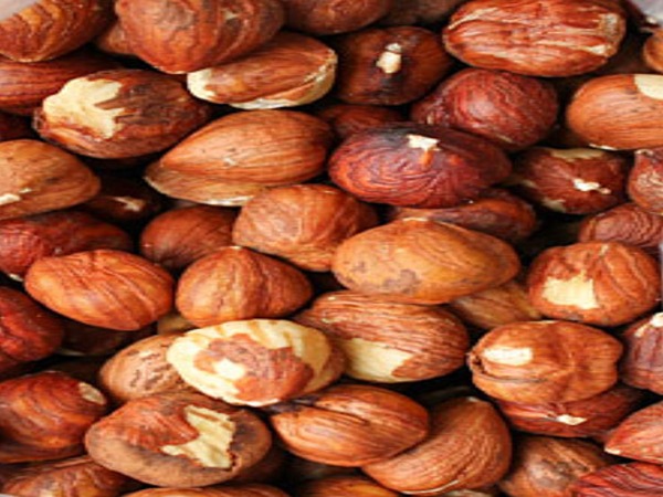 تصویر 3 از قیمت مغز فندق درجه یک + خرید باور نکردنی
