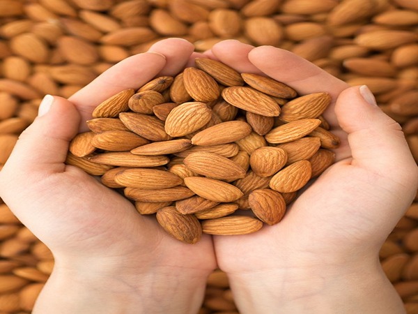 تصویر 4 از قیمت خرید مغز بادام قرمز با فروش عمده