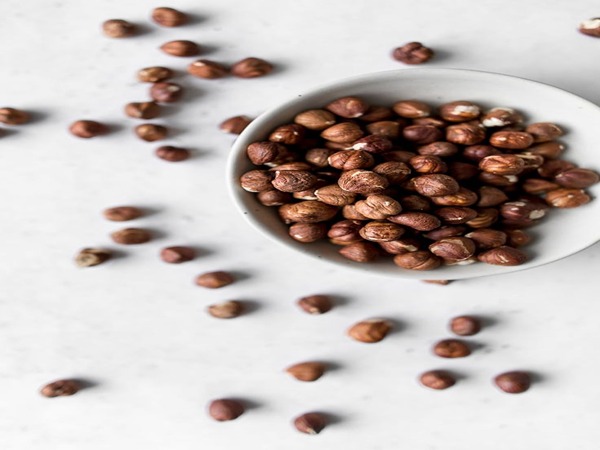 تصویر 1 از قیمت مغز فندق ایرانی + خرید باور نکردنی