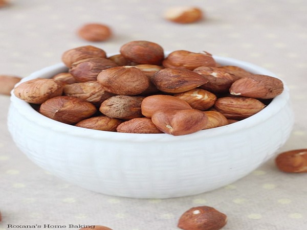 تصویر 3 از قیمت مغز فندق ایرانی + خرید باور نکردنی