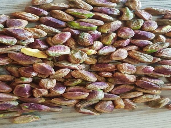 تصویر 2 از قیمت مغز پسته صادراتی با کیفیت ارزان + خرید عمده