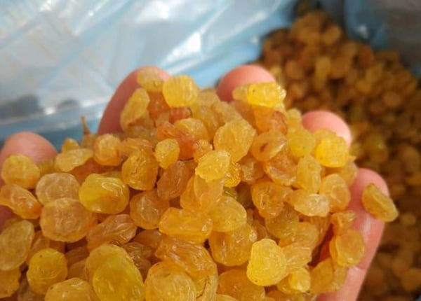 تصویر 1 از قیمت کشمش طلایی کاشمر + خرید باور نکردنی