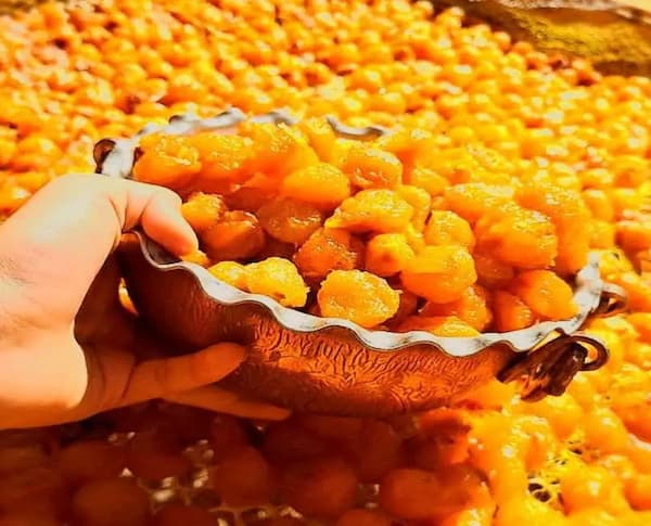تصویر 3 از قیمت خرید آلو بخارا قیسی + فروش ویژه