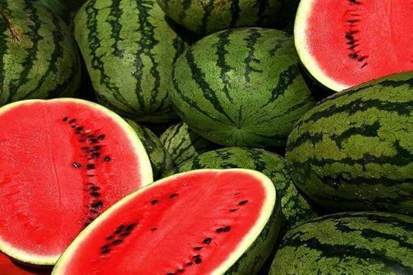 تصویر 1 از قیمت هندوانه رسیده قرمز با کیفیت ارزان + خرید عمده