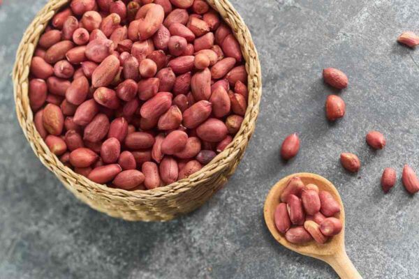 تصویر 1 از قیمت بادام زمینی صادراتی با کیفیت ارزان + خرید عمده