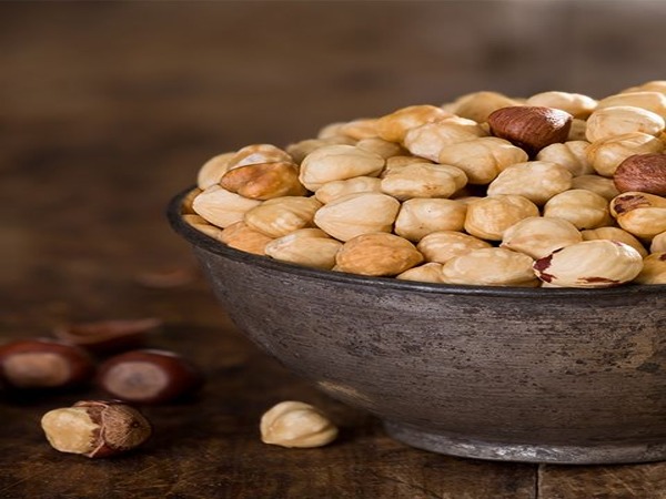 تصویر 4 از قیمت مغز فندق ایرانی + خرید باور نکردنی