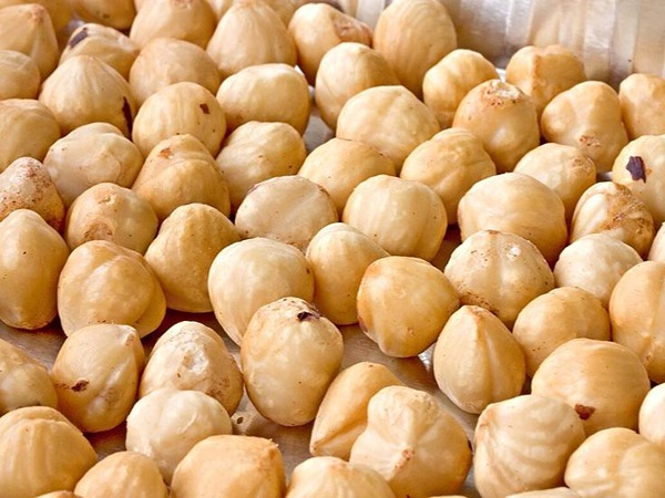 تصویر 5 از خرید مغز فندق عمده + قیمت فروش استثنایی