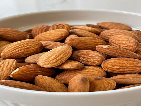 تصویر 2 از خرید و فروش مغز بادام درجه یک با شرایط فوق العاده