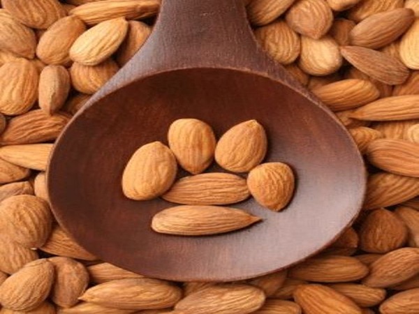 تصویر 5 از قیمت مغز بادام درختی با کیفیت ارزان + خرید عمده