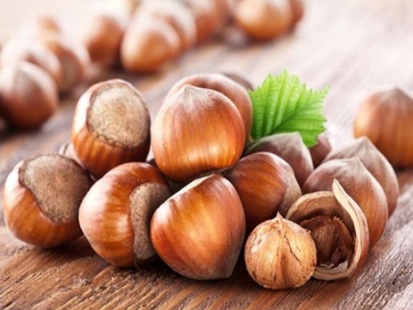 تصویر 2 از فروش مغز فندق خام + قیمت خرید به صرفه