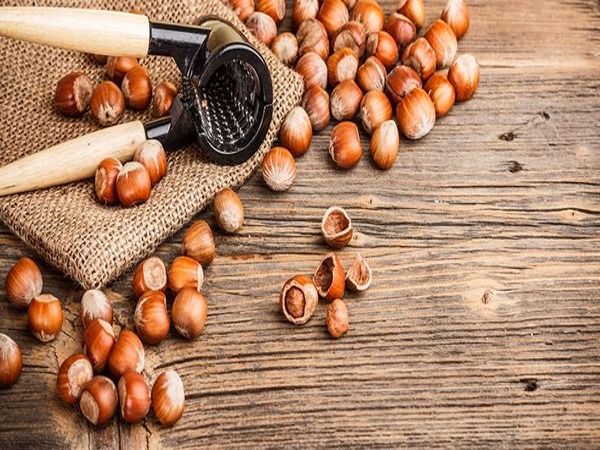 تصویر 3 از قیمت مغز فندق درجه یک + خرید باور نکردنی