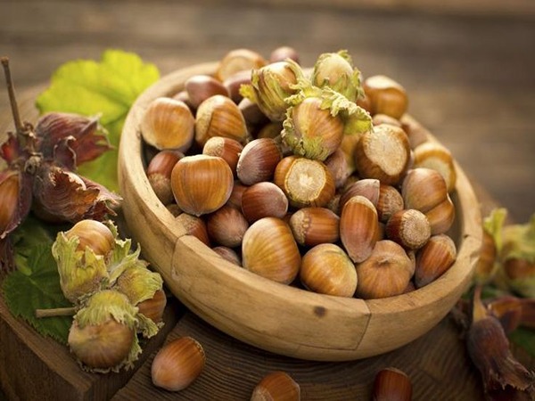 تصویر 5 از قیمت مغز فندق درجه یک + خرید باور نکردنی