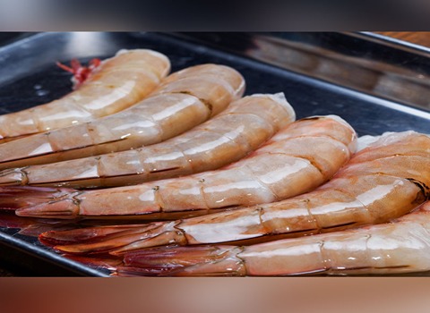 تصویر 3 از خرید و قیمت میگو صادراتی بندرعباس + فروش عمده