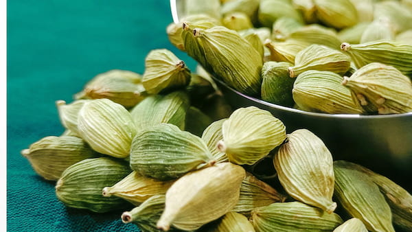 تصویر 5 از خرید و فروش هل 20 گرمی با شرایط فوق العاده