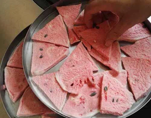 تصویر 3 از فروش بستنی خشک هندوانه + قیمت خرید به صرفه